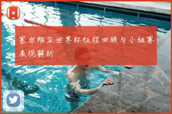 塞尔维亚世界杯征程回顾与小组赛表现解析