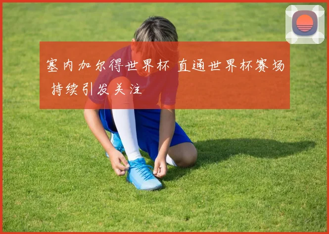 塞内加尔得世界杯 直通世界杯赛场 持续引发关注