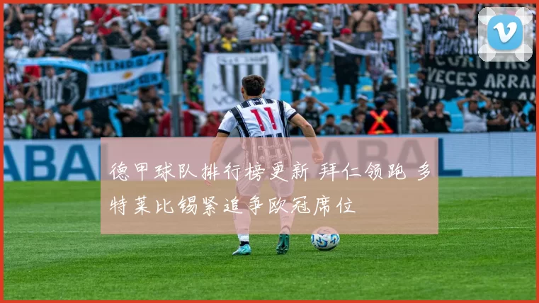 德甲球队排行榜更新 拜仁领跑 多特莱比锡紧追争欧冠席位