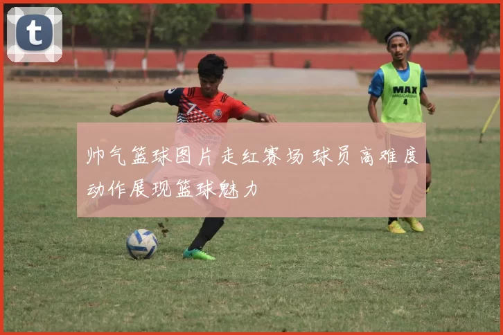 帅气篮球图片走红赛场 球员高难度动作展现篮球魅力