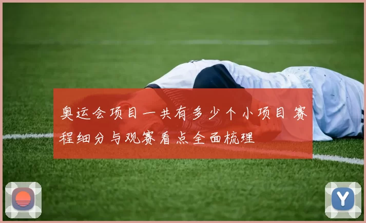 奥运会项目一共有多少个小项目 赛程细分与观赛看点全面梳理
